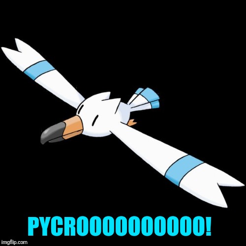 PYCROOOOOOOOOO! | image tagged in hydro the wingull | made w/ Imgflip meme maker