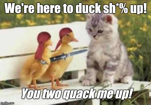 We're here to duck sh*% up! You two quack me up! | made w/ Imgflip meme maker