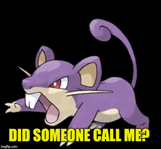 rattata | DID SOMEONE CALL ME? | image tagged in rattata | made w/ Imgflip meme maker