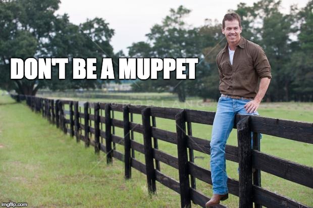 man on fence | DON'T BE A MUPPET | image tagged in man on fence | made w/ Imgflip meme maker
