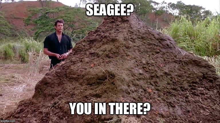 Big pile of bullshit | SEAGEE? YOU IN THERE? | image tagged in big pile of bullshit | made w/ Imgflip meme maker