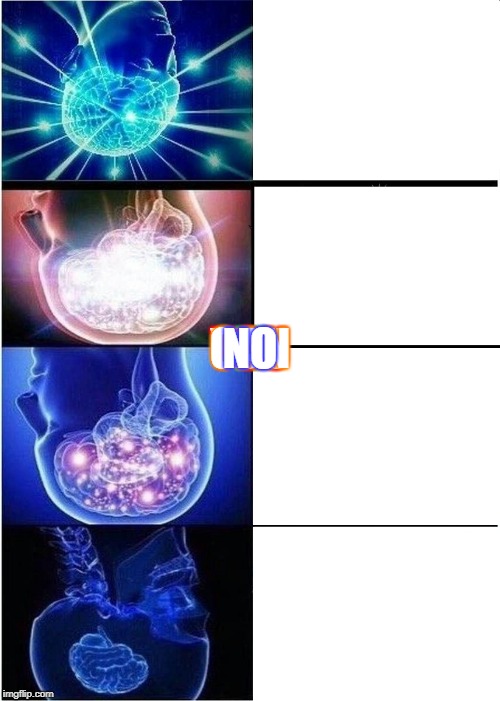 Expanding Brain | IF; YOU; CAN; NO | image tagged in memes,expanding brain | made w/ Imgflip meme maker
