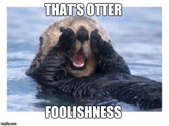 Excited Otter | THAT'S OTTER FOOLISHNESS | image tagged in excited otter | made w/ Imgflip meme maker