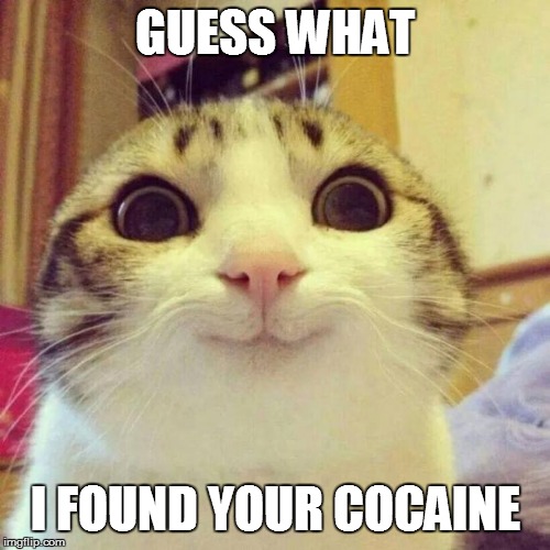 Cat on Crack | GUESS WHAT; I FOUND YOUR COCAINE | image tagged in memes,smiling cat | made w/ Imgflip meme maker