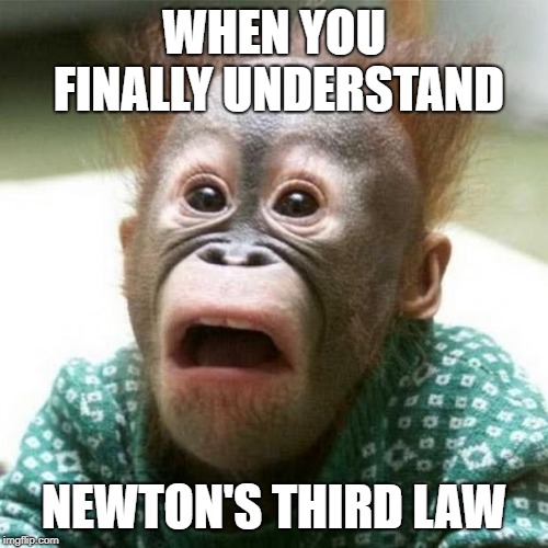 WHEN YOU FINALLY UNDERSTAND; NEWTON'S THIRD LAW | image tagged in funny memes | made w/ Imgflip meme maker