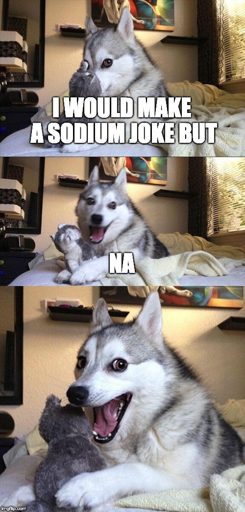 Search Up The Periodic Table | I WOULD MAKE A SODIUM JOKE BUT; NA | image tagged in memes,bad pun dog | made w/ Imgflip meme maker