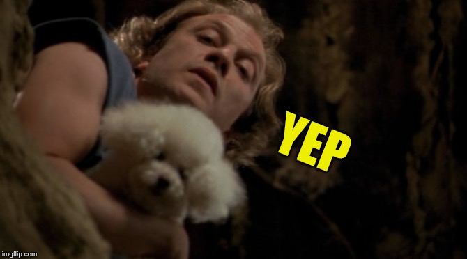 Silence of the lambs lotion | YEP | image tagged in silence of the lambs lotion | made w/ Imgflip meme maker