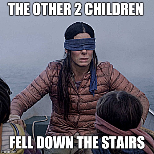 Bird Box Meme | THE OTHER 2 CHILDREN; FELL DOWN THE STAIRS | image tagged in memes,bird box | made w/ Imgflip meme maker