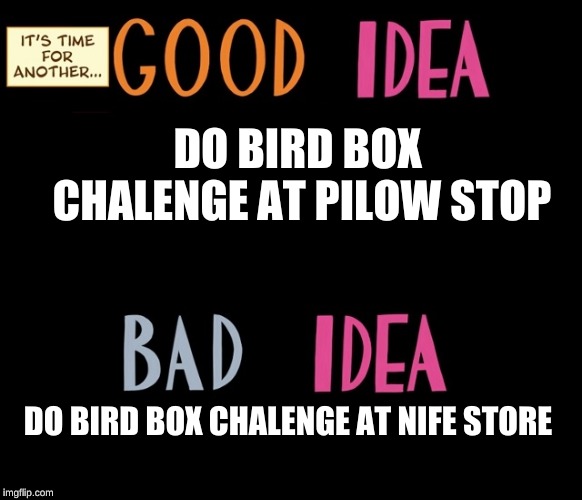 Good Idea/Bad Idea | DO BIRD BOX CHALENGE AT PILOW STOP; DO BIRD BOX CHALENGE AT NIFE STORE | image tagged in good idea/bad idea | made w/ Imgflip meme maker