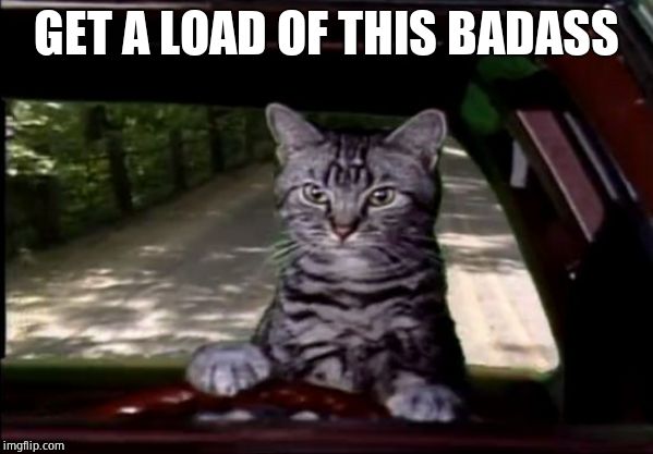 toonces | GET A LOAD OF THIS BADASS | image tagged in toonces | made w/ Imgflip meme maker