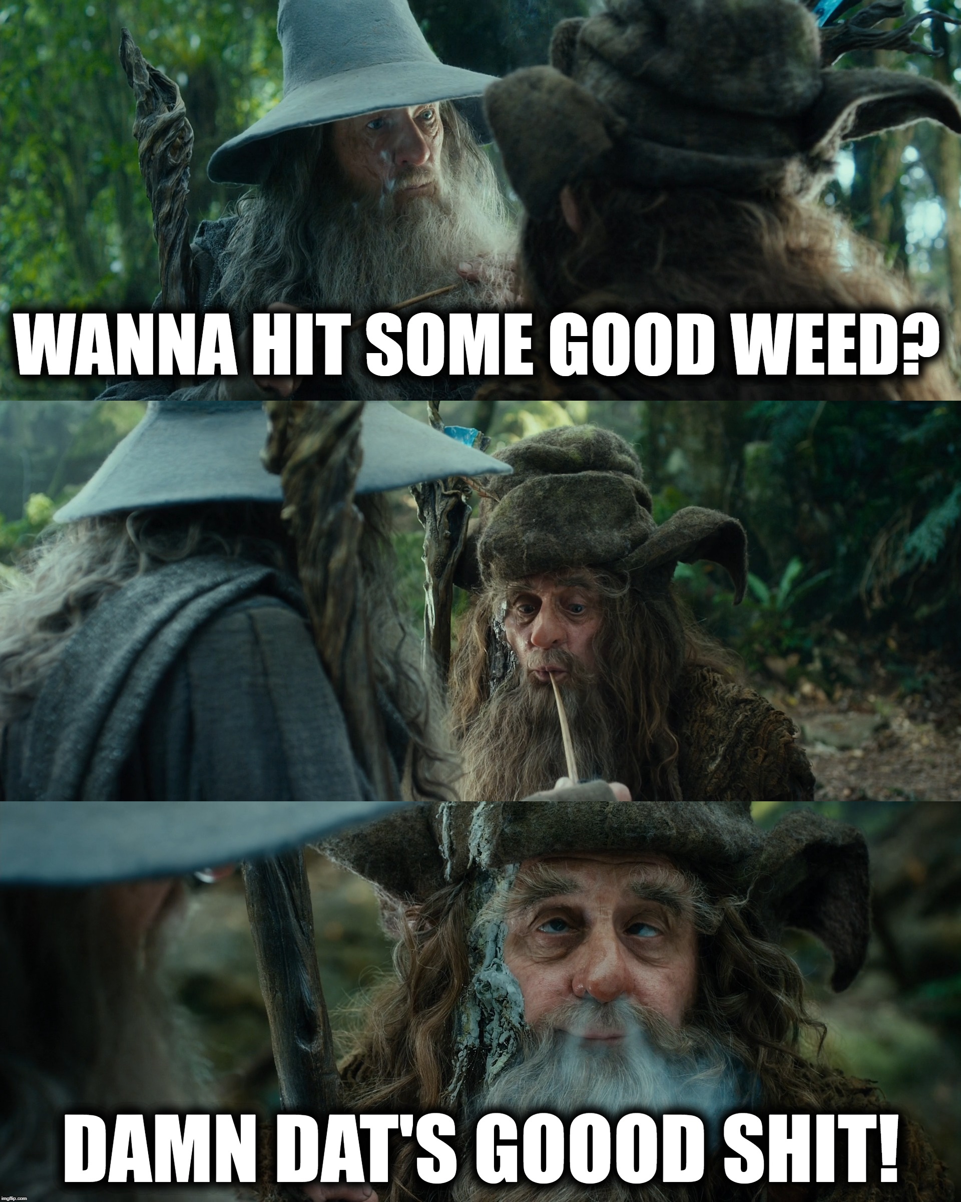 Gandalf and Radagast smoking pipe-weed | WANNA HIT SOME GOOD WEED? DAMN DAT'S GOOOD SHIT! | image tagged in gandalf,radagast,pipeweed,weed,good shit | made w/ Imgflip meme maker
