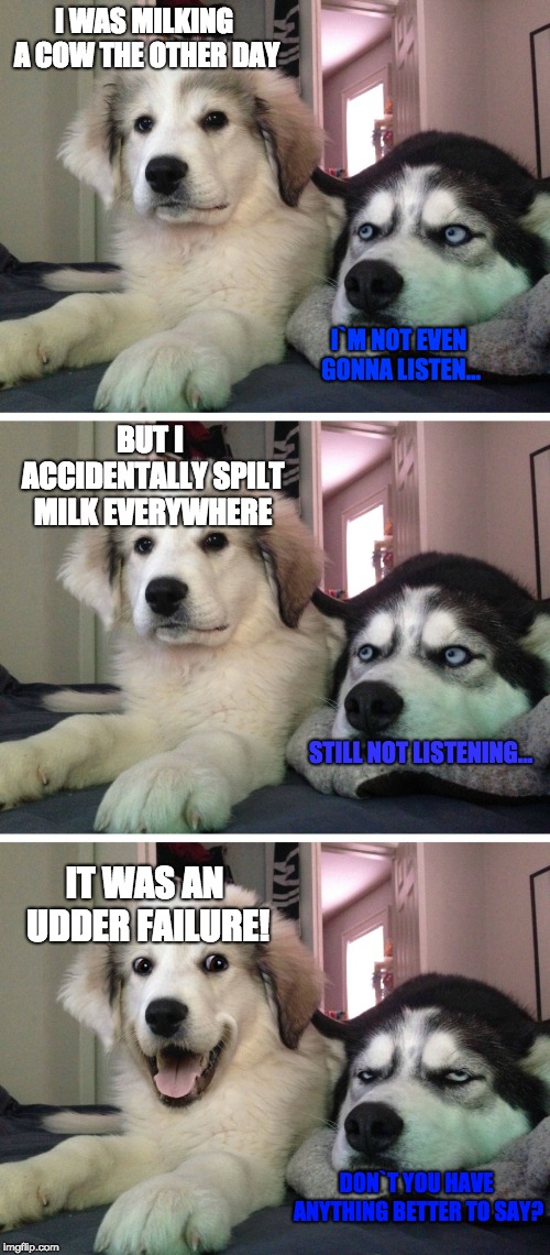 Bad pun dogs | I WAS MILKING A COW THE OTHER DAY; I`M NOT EVEN GONNA LISTEN... BUT I ACCIDENTALLY SPILT MILK EVERYWHERE; STILL NOT LISTENING... IT WAS AN UDDER FAILURE! DON`T YOU HAVE ANYTHING BETTER TO SAY? | image tagged in bad pun dogs | made w/ Imgflip meme maker