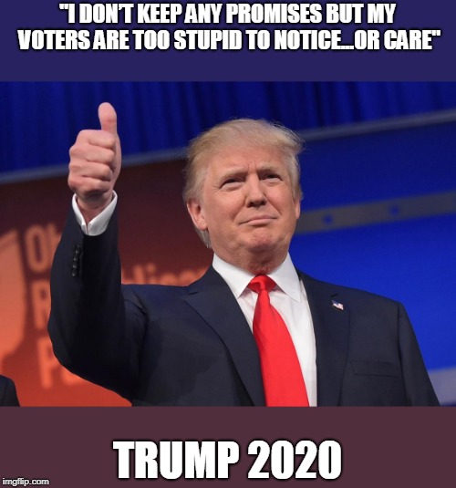 donald trump | "I DON’T KEEP ANY PROMISES BUT MY VOTERS ARE TOO STUPID TO NOTICE...OR CARE"; TRUMP 2020 | image tagged in donald trump | made w/ Imgflip meme maker