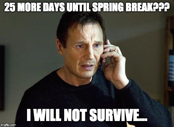 Liam Neeson Taken 2 | 25 MORE DAYS UNTIL SPRING BREAK??? I WILL NOT SURVIVE... | image tagged in memes,liam neeson taken 2 | made w/ Imgflip meme maker