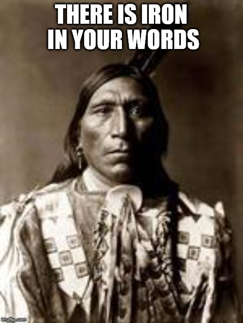 native american | THERE IS IRON IN YOUR WORDS | image tagged in native american | made w/ Imgflip meme maker