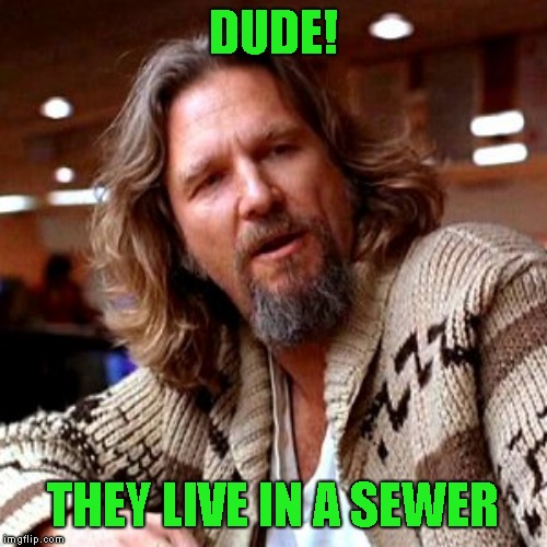 Confused Lebowski Meme | DUDE! THEY LIVE IN A SEWER | image tagged in memes,confused lebowski | made w/ Imgflip meme maker