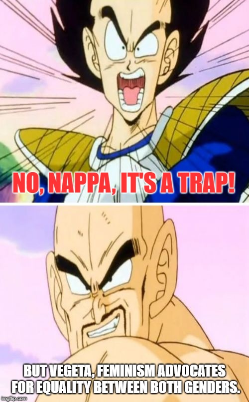 No Nappa Its A Trick Meme | NO, NAPPA, IT'S A TRAP! BUT VEGETA, FEMINISM ADVOCATES FOR EQUALITY BETWEEN BOTH GENDERS. | image tagged in memes,no nappa its a trick | made w/ Imgflip meme maker