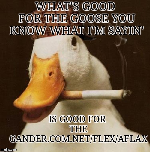 Smoking Duck | WHAT'S GOOD FOR THE GOOSE YOU KNOW WHAT I'M SAYIN'; IS GOOD FOR THE GANDER.COM.NET/FLEX/AFLAX | image tagged in smoking duck | made w/ Imgflip meme maker