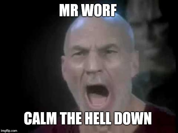 Picard Four Lights | MR WORF CALM THE HELL DOWN | image tagged in picard four lights | made w/ Imgflip meme maker