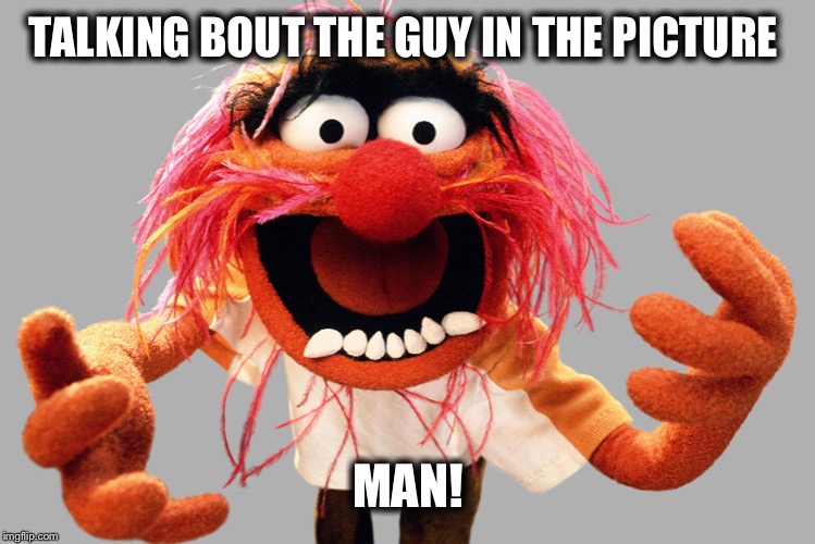 animal muppets | TALKING BOUT THE GUY IN THE PICTURE MAN! | image tagged in animal muppets | made w/ Imgflip meme maker