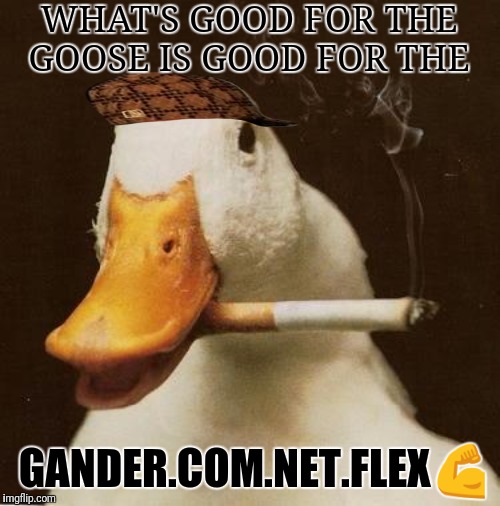 Smoking Duck | WHAT'S GOOD FOR THE GOOSE IS GOOD FOR THE; GANDER.COM.NET.FLEX💪 | image tagged in smoking duck | made w/ Imgflip meme maker