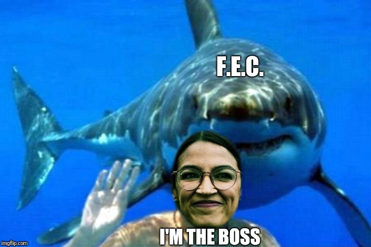 AOC is Shark Bait | F.E.C. I'M THE BOSS | image tagged in new,alexandria ocasio-cortez | made w/ Imgflip meme maker