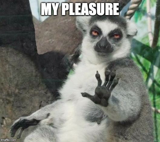 Stoner Lemur Meme | MY PLEASURE | image tagged in memes,stoner lemur | made w/ Imgflip meme maker