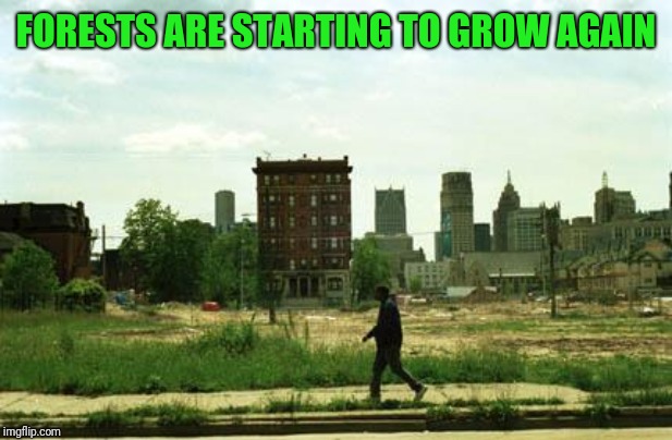 detroit ghetto | FORESTS ARE STARTING TO GROW AGAIN | image tagged in detroit ghetto | made w/ Imgflip meme maker