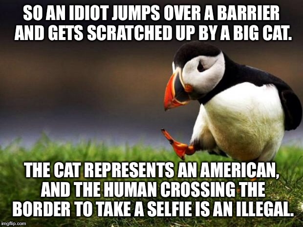 The jaguar story is a border wall metaphor | SO AN IDIOT JUMPS OVER A BARRIER AND GETS SCRATCHED UP BY A BIG CAT. THE CAT REPRESENTS AN AMERICAN, AND THE HUMAN CROSSING THE BORDER TO TAKE A SELFIE IS AN ILLEGAL. | image tagged in memes,unpopular opinion puffin,border wall,stupid people,cat,illegal | made w/ Imgflip meme maker