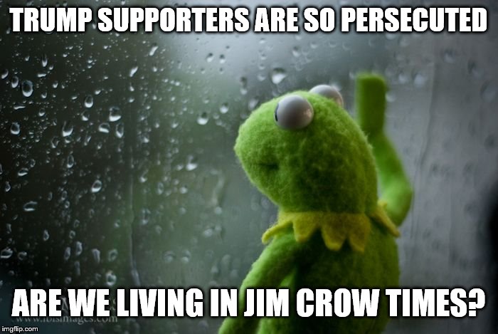 kermit window | TRUMP SUPPORTERS ARE SO PERSECUTED ARE WE LIVING IN JIM CROW TIMES? | image tagged in kermit window | made w/ Imgflip meme maker