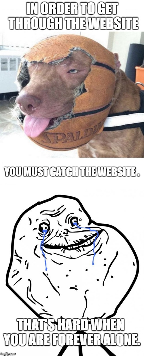 In order to get through... | IN ORDER TO GET THROUGH THE WEBSITE; YOU MUST CATCH THE WEBSITE . THAT'S HARD WHEN YOU ARE FOREVER ALONE. | image tagged in forever alone | made w/ Imgflip meme maker