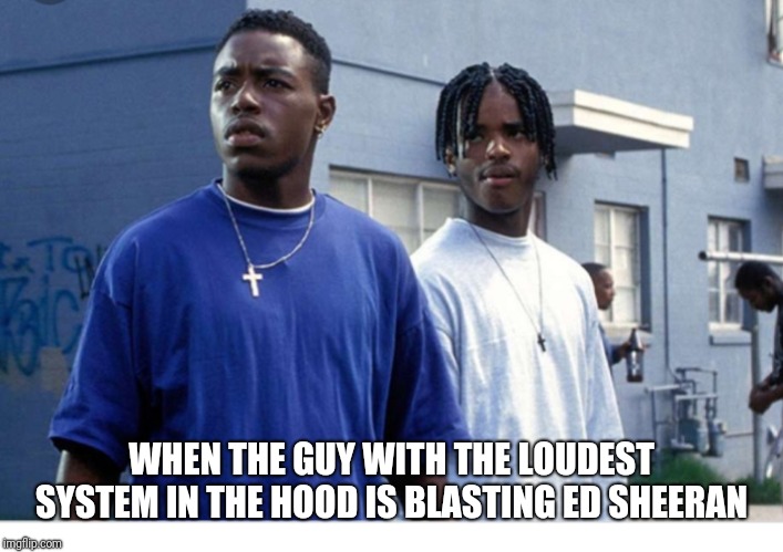 WHEN THE GUY WITH THE LOUDEST SYSTEM IN THE HOOD IS BLASTING ED SHEERAN | image tagged in odog kane | made w/ Imgflip meme maker