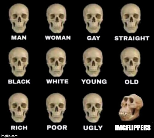 posting on imgflip is a sign of an evolved mind | IMGFLIPPERS | image tagged in idiot skull | made w/ Imgflip meme maker