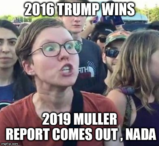 Trigger a Leftist | 2016 TRUMP WINS; 2019 MULLER REPORT COMES OUT , NADA | image tagged in trigger a leftist | made w/ Imgflip meme maker