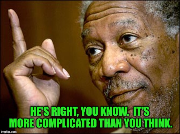 Morgan Freeman pointing | HE'S RIGHT, YOU KNOW.  IT'S MORE COMPLICATED THAN YOU THINK. | image tagged in morgan freeman pointing | made w/ Imgflip meme maker