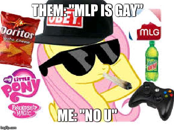 MLG Pony | THEM: "MLP IS GAY"; ME: "NO U" | image tagged in mlg pony | made w/ Imgflip meme maker