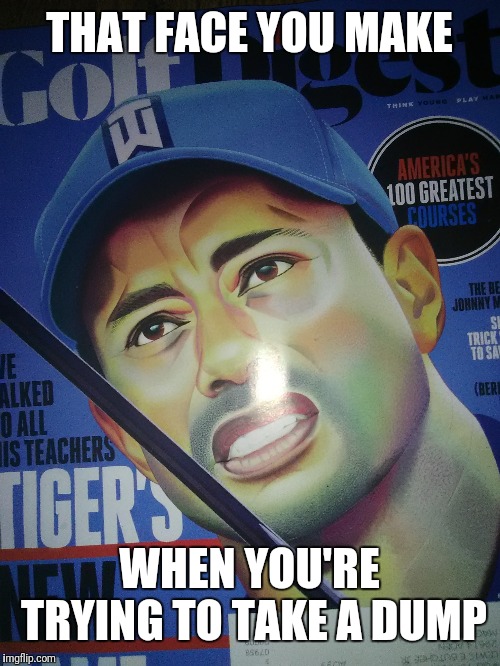 Baseball dumps | THAT FACE YOU MAKE; WHEN YOU'RE TRYING TO TAKE A DUMP | image tagged in poop | made w/ Imgflip meme maker
