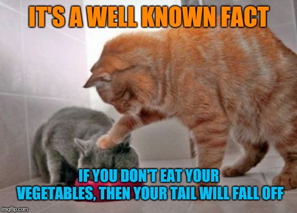 And do you KNOW how much a prosthetic tail costs? | IT'S A WELL KNOWN FACT; IF YOU DON'T EAT YOUR VEGETABLES, THEN YOUR TAIL WILL FALL OFF | image tagged in memes,cats,that's not how the force works,bad advice cat,tails wtf,fairly odd parents | made w/ Imgflip meme maker