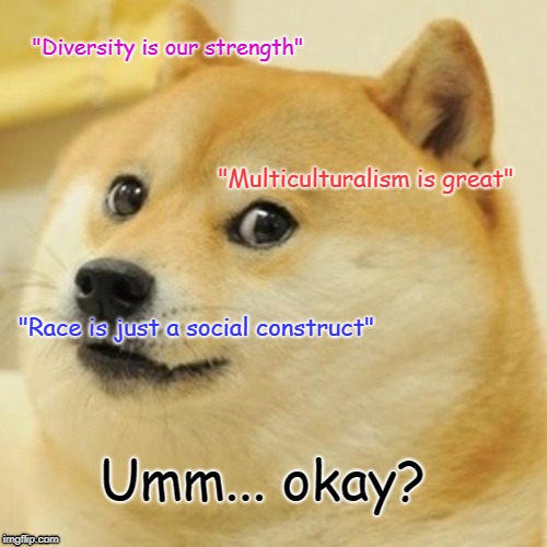 When you hear a SJW lefty | "Diversity is our strength"; "Multiculturalism is great"; "Race is just a social construct"; Umm... okay? | image tagged in memes,doge,race,diversity,alt right | made w/ Imgflip meme maker