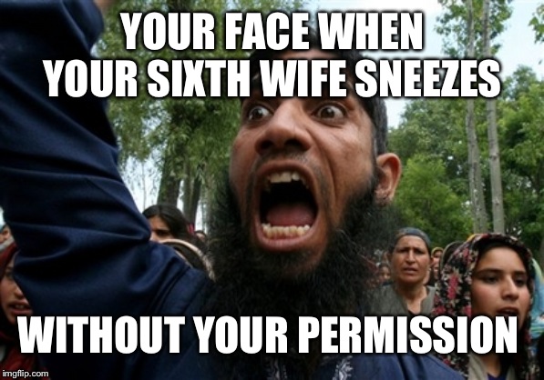 Allah Akbar | YOUR FACE WHEN YOUR SIXTH WIFE SNEEZES; WITHOUT YOUR PERMISSION | image tagged in rageboy screaming islamist | made w/ Imgflip meme maker