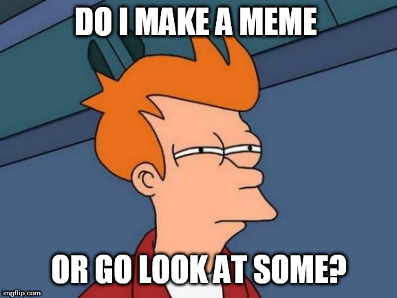 Futurama Fry Meme | DO I MAKE A MEME; OR GO LOOK AT SOME? | image tagged in memes,futurama fry | made w/ Imgflip meme maker