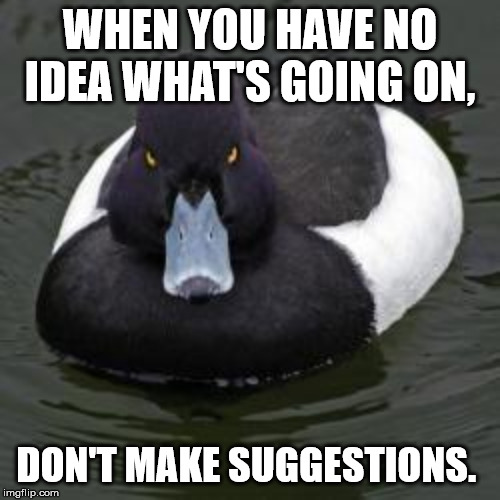 Angry Advice Mallard | WHEN YOU HAVE NO IDEA WHAT'S GOING ON, DON'T MAKE SUGGESTIONS. | image tagged in angry advice mallard | made w/ Imgflip meme maker