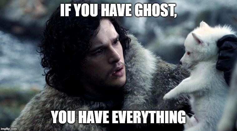 Jon Snow Ghost | IF YOU HAVE GHOST, YOU HAVE EVERYTHING | image tagged in jon snow ghost | made w/ Imgflip meme maker
