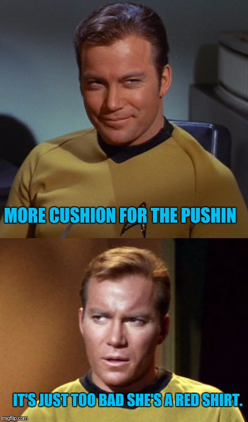 IT'S JUST TOO BAD SHE'S A RED SHIRT. MORE CUSHION FOR THE PUSHIN | made w/ Imgflip meme maker