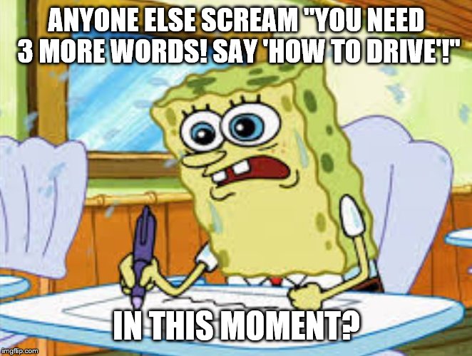 What I Learned In Boating School Is |  ANYONE ELSE SCREAM "YOU NEED 3 MORE WORDS! SAY 'HOW TO DRIVE'!"; IN THIS MOMENT? | image tagged in what i learned in boating school is | made w/ Imgflip meme maker