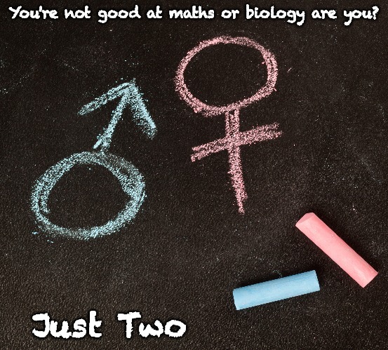 Genders...need I say more? | You're not good at maths or biology are you? Just Two | made w/ Imgflip meme maker