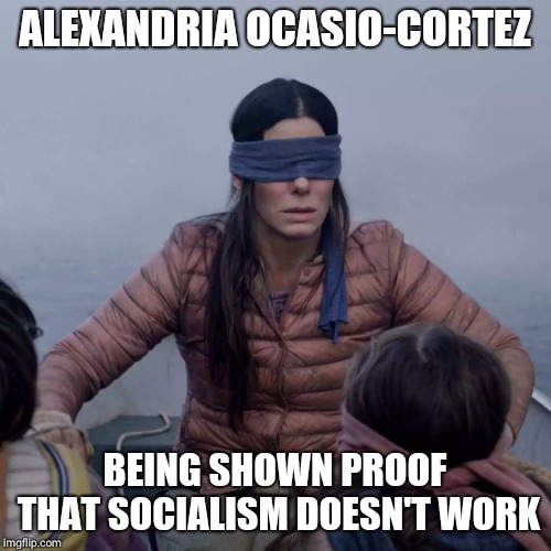 Bird Box | ALEXANDRIA OCASIO-CORTEZ; BEING SHOWN PROOF THAT SOCIALISM DOESN'T WORK | image tagged in memes,bird box | made w/ Imgflip meme maker