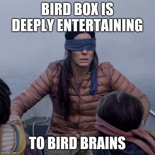 Bird Box | BIRD BOX IS DEEPLY ENTERTAINING; TO BIRD BRAINS | image tagged in memes,bird box | made w/ Imgflip meme maker