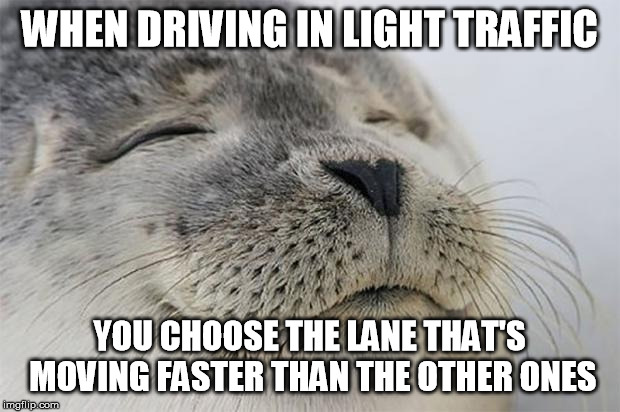 Satisfied Seal | WHEN DRIVING IN LIGHT TRAFFIC; YOU CHOOSE THE LANE THAT'S MOVING FASTER THAN THE OTHER ONES | image tagged in memes,satisfied seal | made w/ Imgflip meme maker