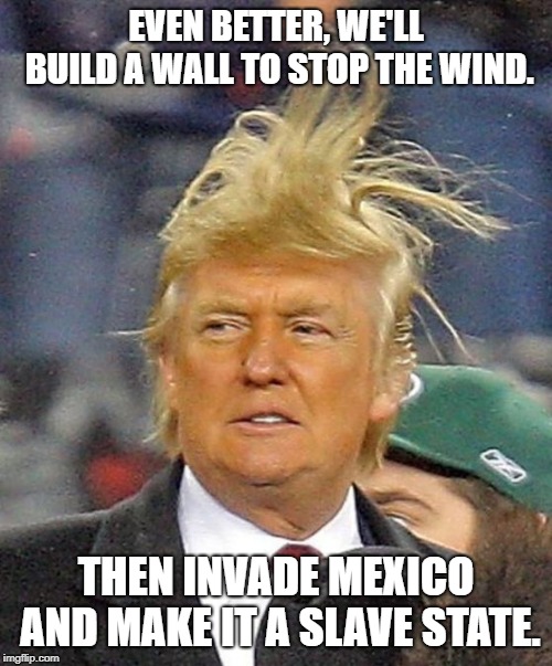 Donald Trumph hair | EVEN BETTER, WE'LL BUILD A WALL TO STOP THE WIND. THEN INVADE MEXICO AND MAKE IT A SLAVE STATE. | image tagged in donald trumph hair | made w/ Imgflip meme maker